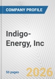 Indigo-Energy, Inc. Fundamental Company Report Including Financial, SWOT, Competitors and Industry Analysis- Product Image