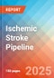 Ischemic Stroke - Pipeline Insight, 2024 - Product Thumbnail Image