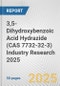 3,5-Dihydroxybenzoic Acid Hydrazide (CAS 7732-32-3) Industry Research 2025: Global and Regional Market Trends 2019-2024 and Forecast to 2029 - Product Image