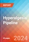 Hyperalgesia - Pipeline Insight, 2024 - Product Image