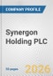 Synergon Holding PLC Fundamental Company Report Including Financial, SWOT, Competitors and Industry Analysis - Product Thumbnail Image