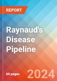 Raynaud's Disease - Pipeline Insight, 2024- Product Image