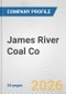 James River Coal Co. Fundamental Company Report Including Financial, SWOT, Competitors and Industry Analysis - Product Thumbnail Image