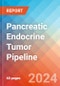 Pancreatic Endocrine Tumor - Pipeline Insight, 2024 - Product Image