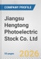 Jiangsu Hengtong Photoelectric Stock Co. Ltd. Fundamental Company Report Including Financial, SWOT, Competitors and Industry Analysis - Product Thumbnail Image
