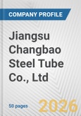 Jiangsu Changbao Steel Tube Co., Ltd. Fundamental Company Report Including Financial, SWOT, Competitors and Industry Analysis- Product Image