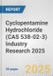 Cyclopentamine Hydrochloride (CAS 538-02-3) Industry Research 2025: Global and Regional Market Trends 2019-2024 and Forecast to 2029 - Product Thumbnail Image