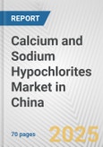 Calcium and Sodium Hypochlorites Market in China: Business Report 2025- Product Image