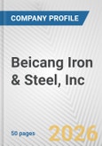 Beicang Iron & Steel, Inc. Fundamental Company Report Including Financial, SWOT, Competitors and Industry Analysis- Product Image