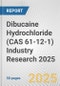 Dibucaine Hydrochloride (CAS 61-12-1) Industry Research 2025: Global and Regional Market Trends 2019-2024 and Forecast to 2029 - Product Thumbnail Image