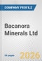 Bacanora Minerals Ltd. Fundamental Company Report Including Financial, SWOT, Competitors and Industry Analysis - Product Thumbnail Image