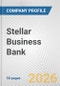 Stellar Business Bank Fundamental Company Report Including Financial, SWOT, Competitors and Industry Analysis - Product Thumbnail Image