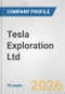 Tesla Exploration Ltd. Fundamental Company Report Including Financial, SWOT, Competitors and Industry Analysis - Product Thumbnail Image