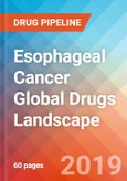Esophageal Cancer - Global API Manufacturers, Marketed and Phase III Drugs Landscape, 2019- Product Image