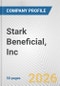Stark Beneficial, Inc. Fundamental Company Report Including Financial, SWOT, Competitors and Industry Analysis - Product Thumbnail Image