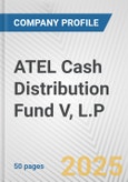 ATEL Cash Distribution Fund V, L.P. Fundamental Company Report Including Financial, SWOT, Competitors and Industry Analysis- Product Image