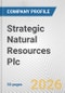 Strategic Natural Resources Plc Fundamental Company Report Including Financial, SWOT, Competitors and Industry Analysis - Product Thumbnail Image