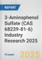 3-Aminophenol Sulfate (CAS 68239-81-6) Industry Research 2025: Global and Regional Market Trends 2019-2024 and Forecast to 2029 - Product Thumbnail Image