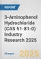 3-Aminophenol Hydrochloride (CAS 51-81-0) Industry Research 2025: Global and Regional Market Trends 2019-2024 and Forecast to 2029 - Product Thumbnail Image