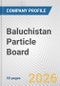 Baluchistan Particle Board Fundamental Company Report Including Financial, SWOT, Competitors and Industry Analysis - Product Thumbnail Image
