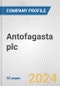 Antofagasta plc Fundamental Company Report Including Financial, SWOT, Competitors and Industry Analysis - Product Thumbnail Image