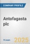 Antofagasta plc Fundamental Company Report Including Financial, SWOT, Competitors and Industry Analysis - Product Thumbnail Image