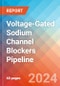 Voltage-Gated Sodium Channel Blockers - Pipeline Insight, 2024 - Product Image