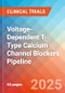 Voltage-Dependent T-Type Calcium Channel Blockers - Pipeline Insight, 2025 - Product Thumbnail Image