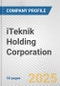 iTeknik Holding Corporation Fundamental Company Report Including Financial, SWOT, Competitors and Industry Analysis - Product Thumbnail Image
