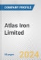 Atlas Iron Limited Fundamental Company Report Including Financial, SWOT, Competitors and Industry Analysis - Product Thumbnail Image