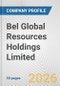 Bel Global Resources Holdings Limited Fundamental Company Report Including Financial, SWOT, Competitors and Industry Analysis - Product Thumbnail Image