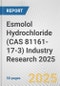Esmolol Hydrochloride (CAS 81161-17-3) Industry Research 2025: Global and Regional Market Trends 2019-2024 and Forecast to 2029 - Product Image