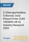 2-Chloropyrimidine-5-Boronic Acid Pinacol Ester (CAS 1003845-08-6) Industry Research 2025: Global and Regional Market Trends 2019-2024 and Forecast to 2029 - Product Image