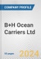 B+H Ocean Carriers Ltd. Fundamental Company Report Including Financial, SWOT, Competitors and Industry Analysis - Product Thumbnail Image