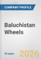 Baluchistan Wheels Fundamental Company Report Including Financial, SWOT, Competitors and Industry Analysis - Product Thumbnail Image
