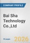 Bai Sha Technology Co.,Ltd. Fundamental Company Report Including Financial, SWOT, Competitors and Industry Analysis - Product Thumbnail Image
