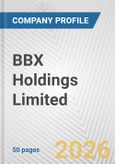 BBX Holdings Limited Fundamental Company Report Including Financial, SWOT, Competitors and Industry Analysis- Product Image