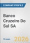 Banco Cruzeiro Do Sul SA Fundamental Company Report Including Financial, SWOT, Competitors and Industry Analysis - Product Thumbnail Image