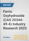 Ferric Oxyhydroxide (CAS 20344-49-4) Industry Research 2025: Global and Regional Market Trends 2019-2024 and Forecast to 2029 - Product Thumbnail Image