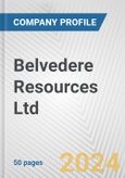 Belvedere Resources Ltd. Fundamental Company Report Including Financial, SWOT, Competitors and Industry Analysis- Product Image