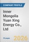 Inner Mongolia Yuan Xing Energy Co., Ltd. Fundamental Company Report Including Financial, SWOT, Competitors and Industry Analysis - Product Thumbnail Image