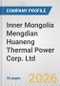 Inner Mongolia Mengdian Huaneng Thermal Power Corp. Ltd. Fundamental Company Report Including Financial, SWOT, Competitors and Industry Analysis - Product Thumbnail Image