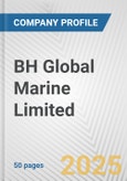 BH Global Marine Limited Fundamental Company Report Including Financial, SWOT, Competitors and Industry Analysis- Product Image