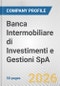 Banca Intermobiliare di Investimenti e Gestioni SpA Fundamental Company Report Including Financial, SWOT, Competitors and Industry Analysis - Product Thumbnail Image