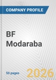 BF Modaraba Fundamental Company Report Including Financial, SWOT, Competitors and Industry Analysis- Product Image