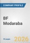 BF Modaraba Fundamental Company Report Including Financial, SWOT, Competitors and Industry Analysis - Product Thumbnail Image