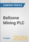 Bellzone Mining PLC Fundamental Company Report Including Financial, SWOT, Competitors and Industry Analysis - Product Thumbnail Image