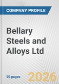 Bellary Steels and Alloys Ltd. Fundamental Company Report Including Financial, SWOT, Competitors and Industry Analysis- Product Image