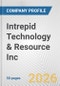 Intrepid Technology & Resource Inc. Fundamental Company Report Including Financial, SWOT, Competitors and Industry Analysis - Product Thumbnail Image