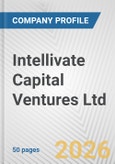 Intellivate Capital Ventures Ltd Fundamental Company Report Including Financial, SWOT, Competitors and Industry Analysis- Product Image